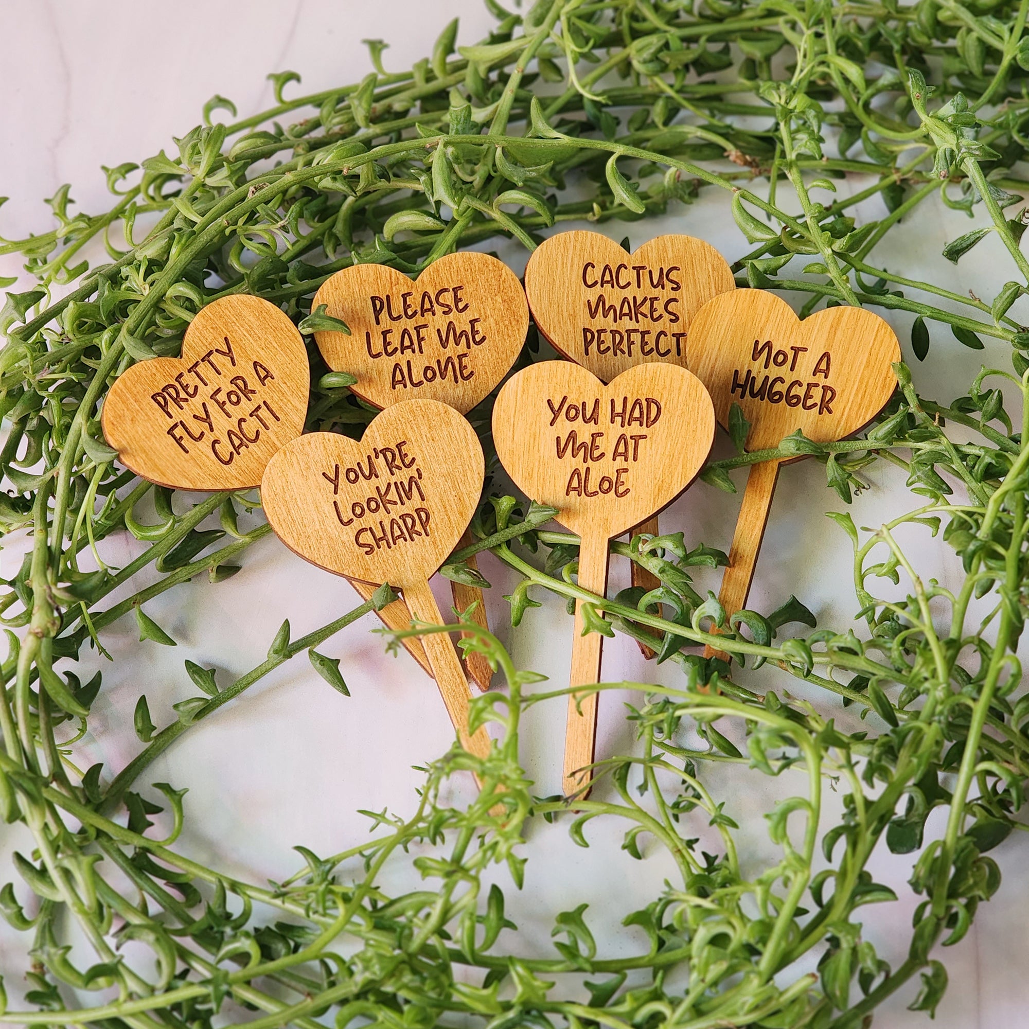 Heart Shaped Funny Succulent Plant Markers