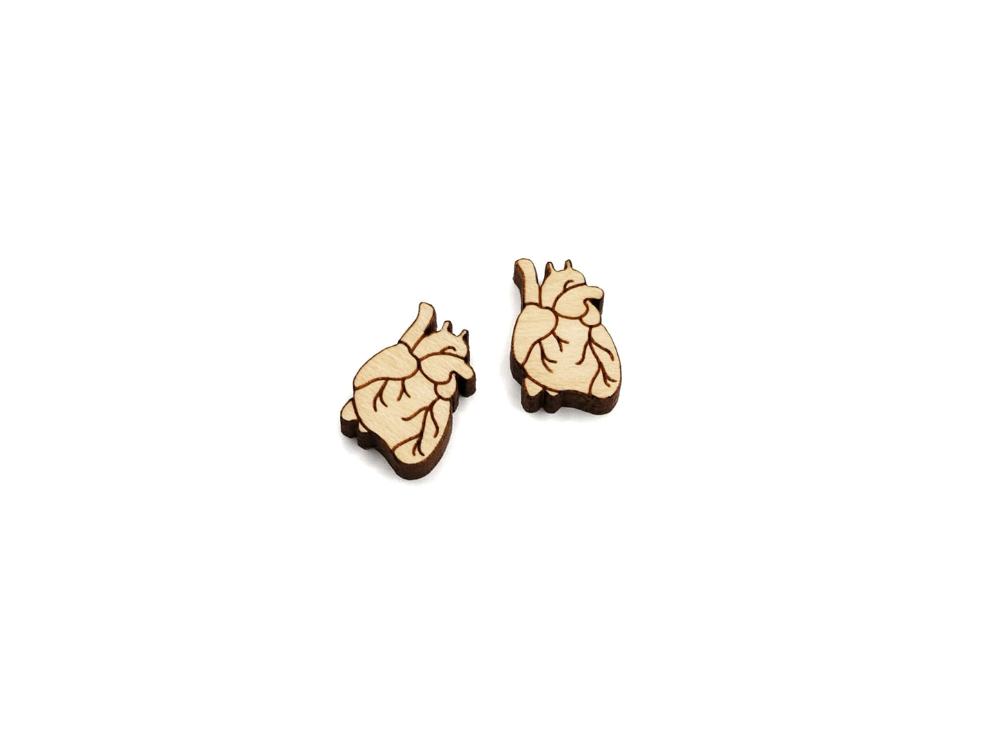 Anatomical Heart Engraved Mini Wood Jewelry Blanks