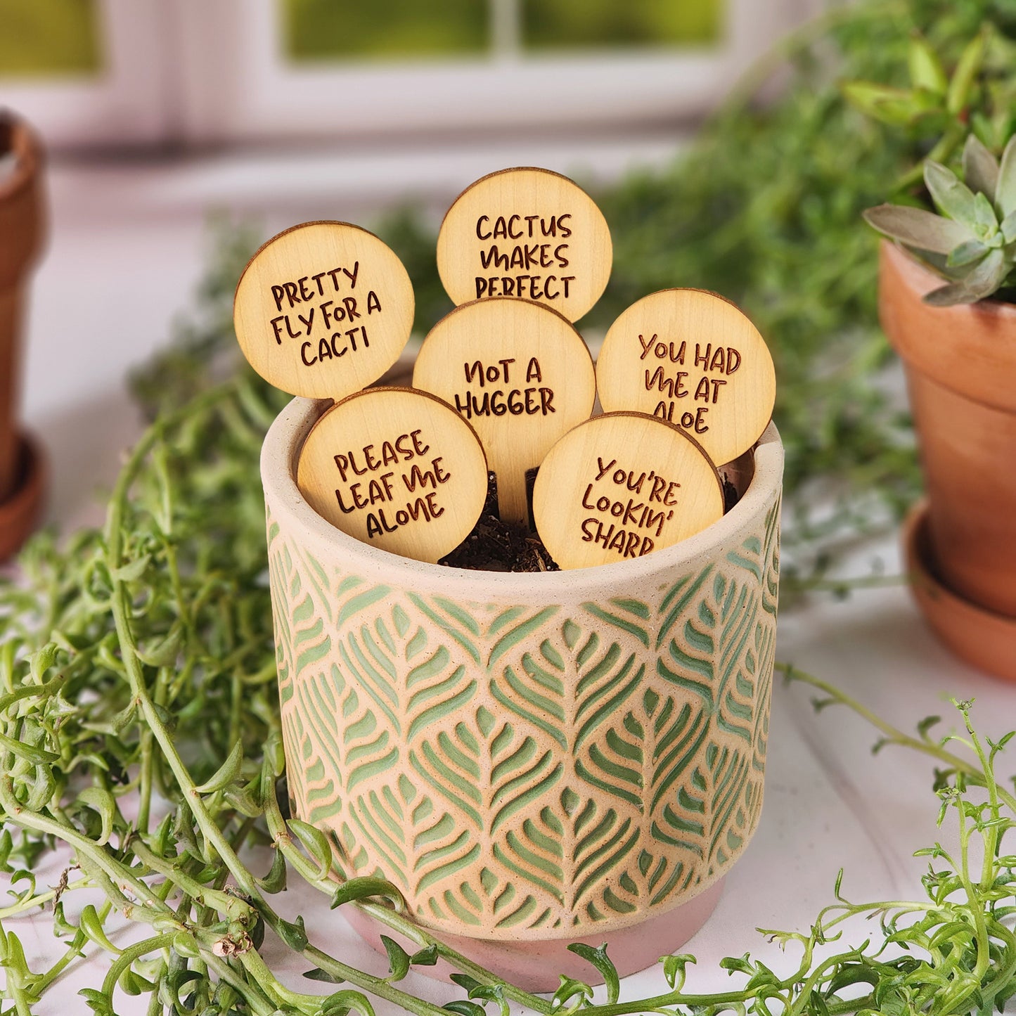 Circle Shaped Funny Succulent Plant Markers – Gems & Timber