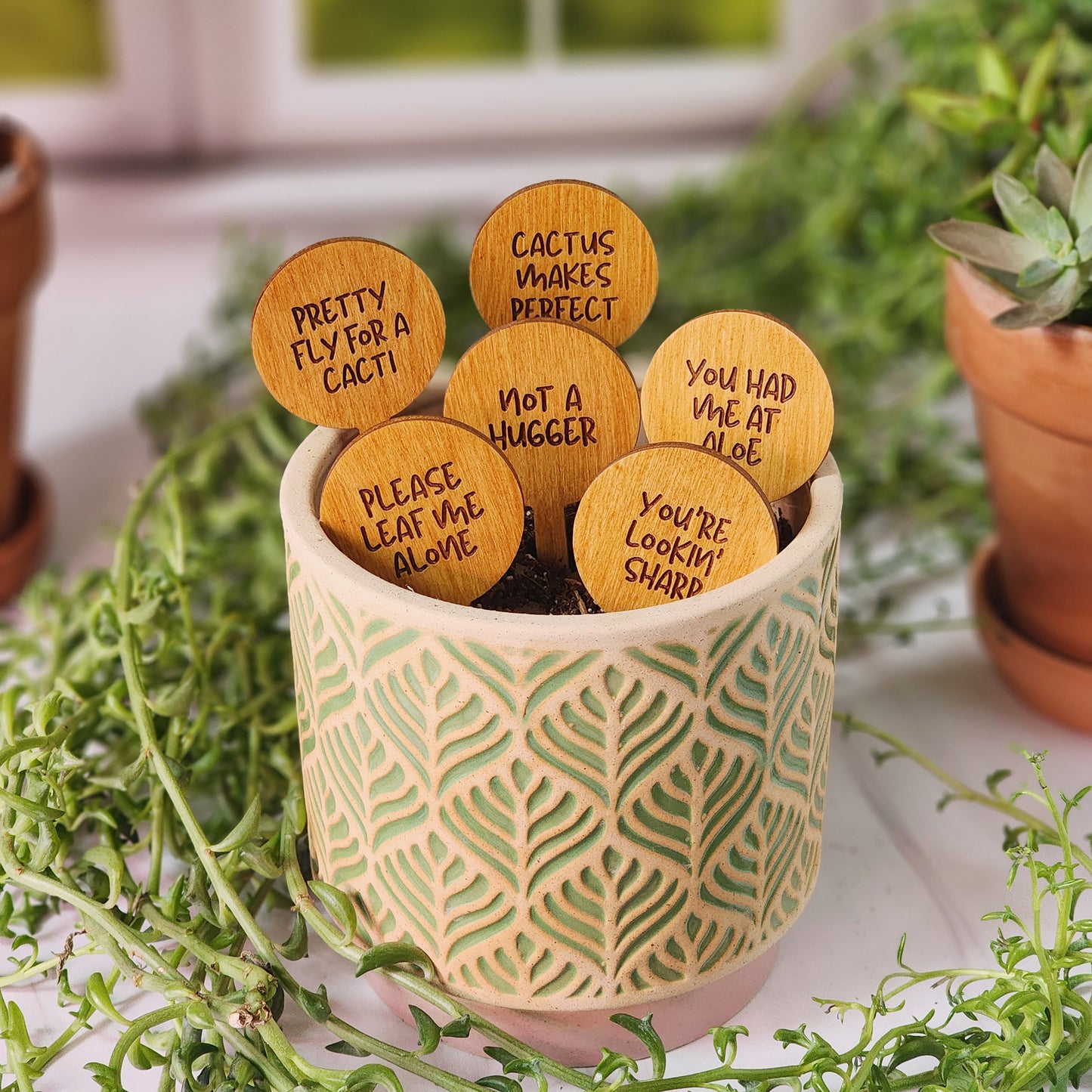 Circle Shaped Funny Succulent Plant Markers