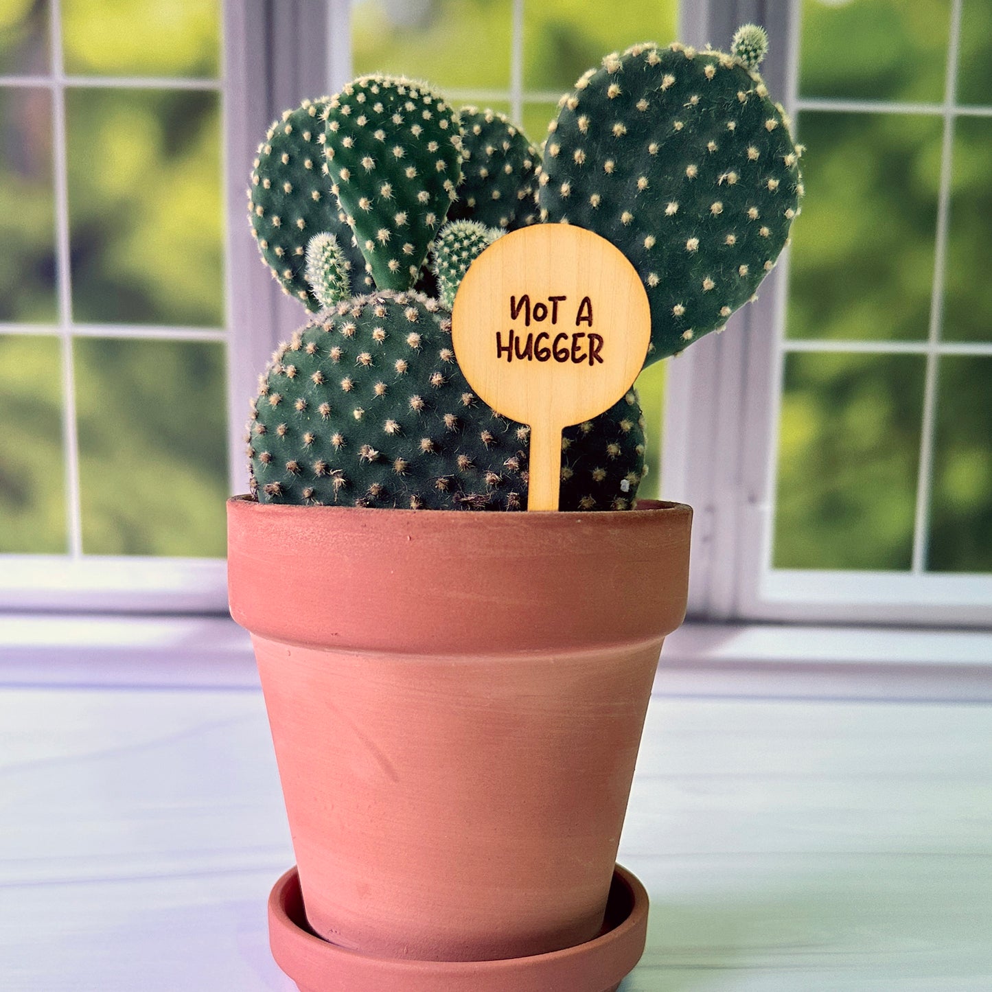 Circle Shaped Funny Succulent Plant Markers