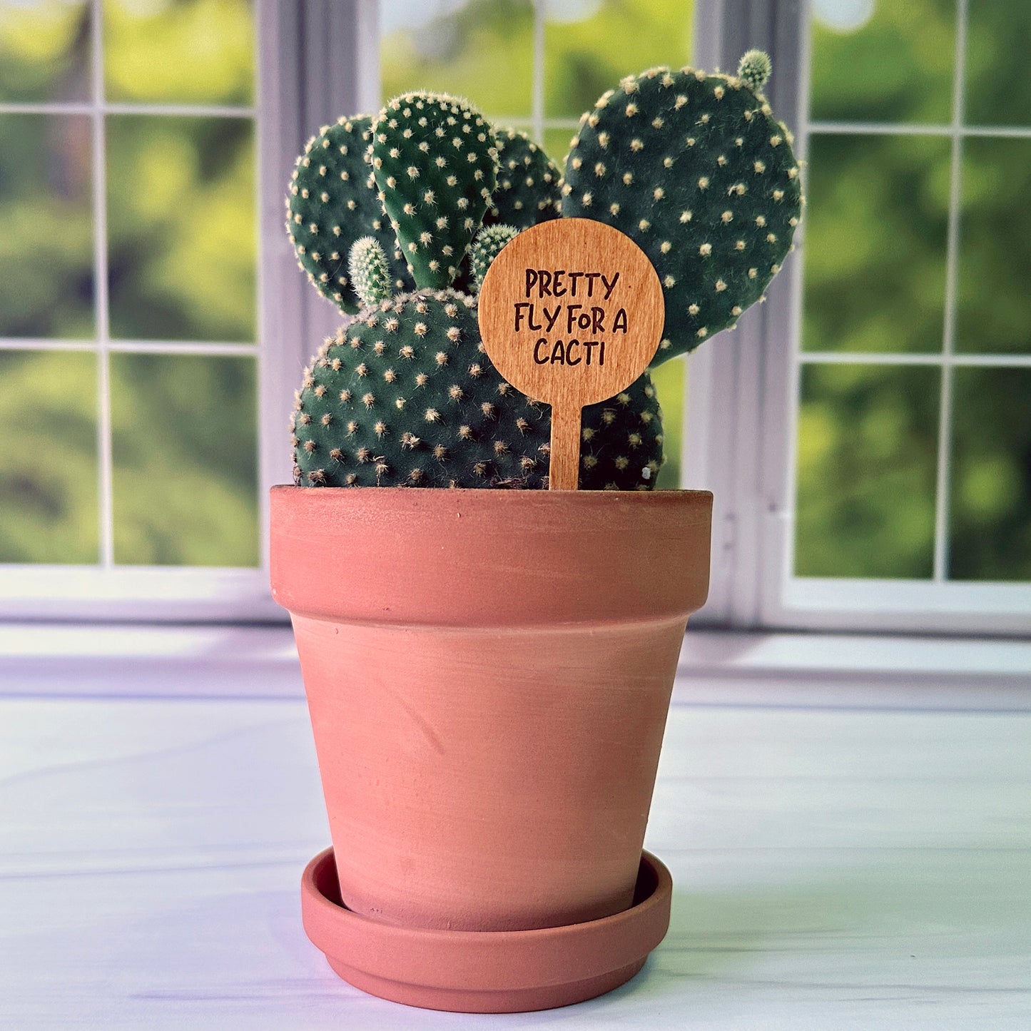 Circle Shaped Funny Succulent Plant Markers