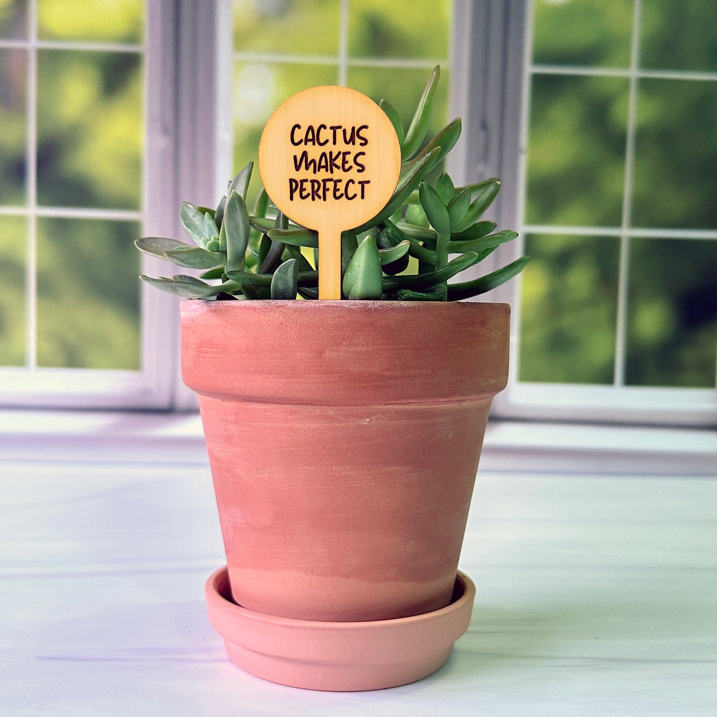 Circle Shaped Funny Succulent Plant Markers