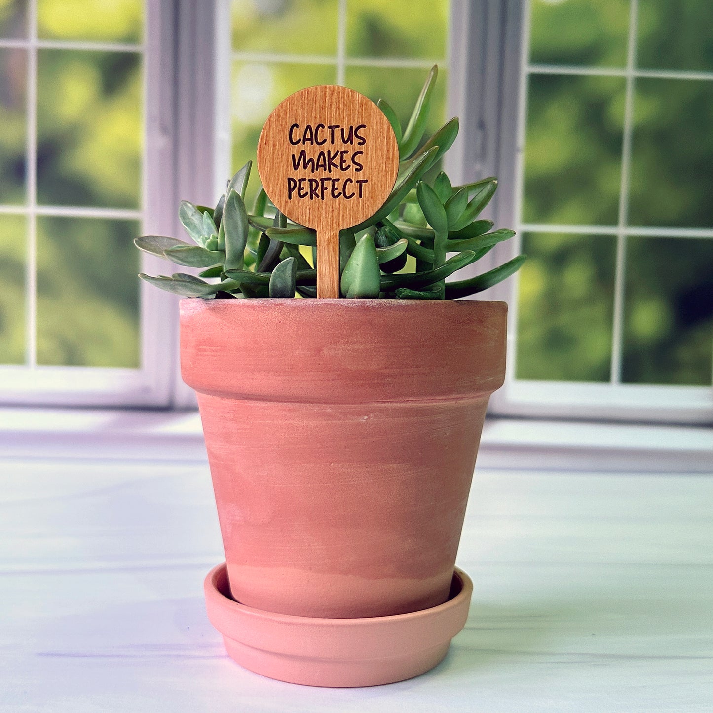 Circle Shaped Funny Succulent Plant Markers