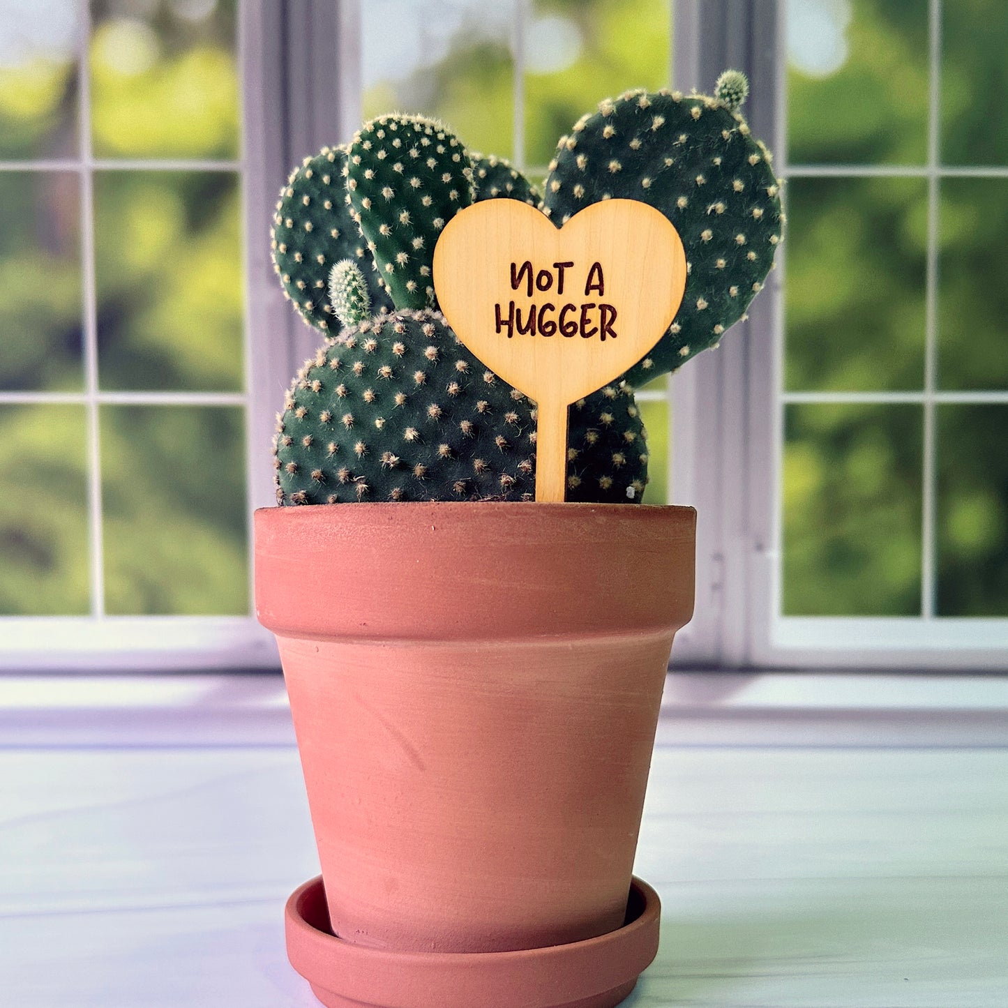 Heart Shaped Funny Succulent Plant Markers