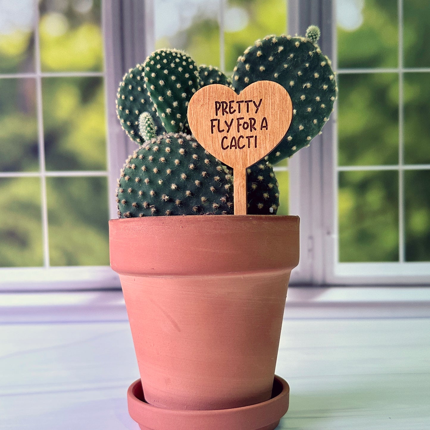 Heart Shaped Funny Succulent Plant Markers