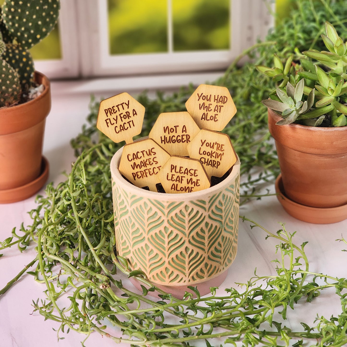 Hexagon Shaped Funny Succulent Plant Markers