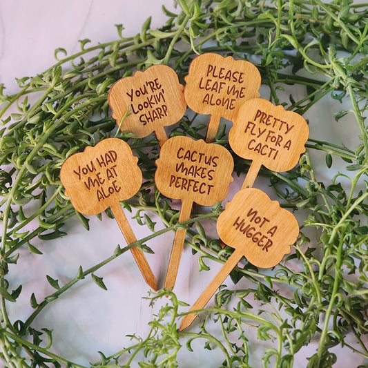 Ornate Shaped Funny Succulent Plant Markers