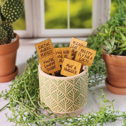 Square Shaped Funny Succulent Plant Markers