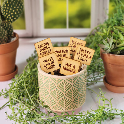 Square Shaped Funny Succulent Plant Markers