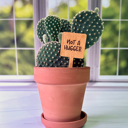 Square Shaped Funny Succulent Plant Markers