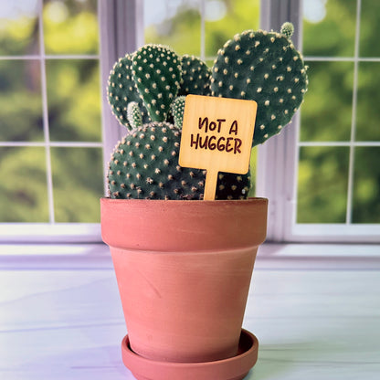 Square Shaped Funny Succulent Plant Markers