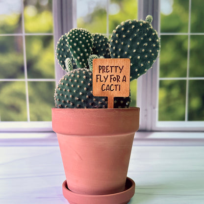 Square Shaped Funny Succulent Plant Markers