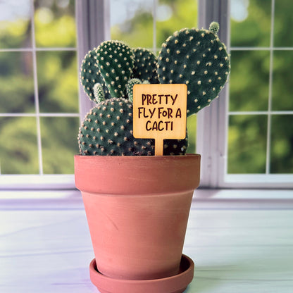 Square Shaped Funny Succulent Plant Markers