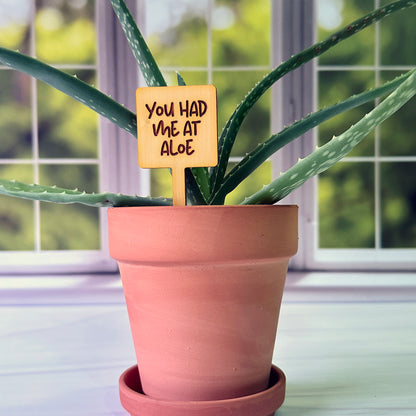 Square Shaped Funny Succulent Plant Markers