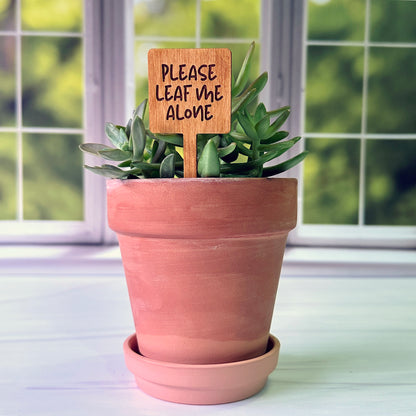 Square Shaped Funny Succulent Plant Markers