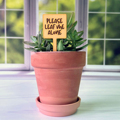 Square Shaped Funny Succulent Plant Markers