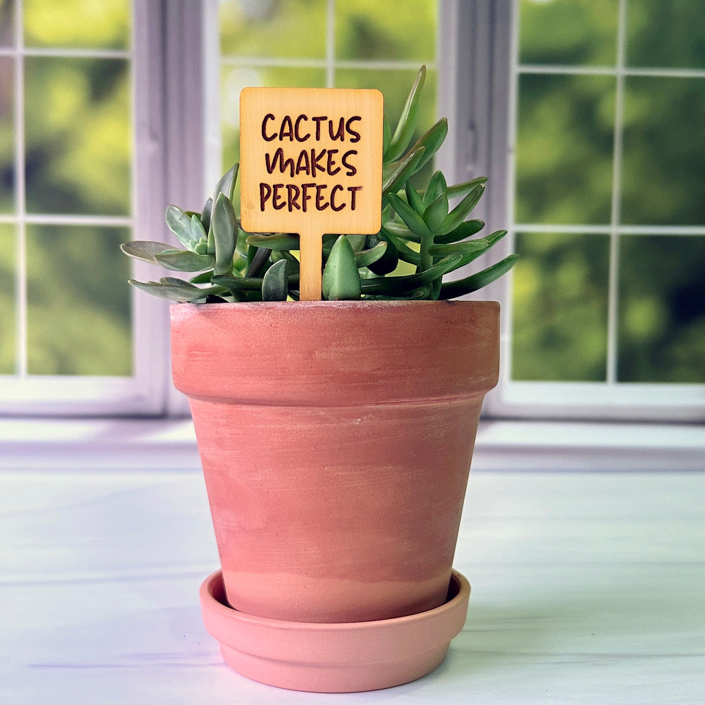 Square Shaped Funny Succulent Plant Markers