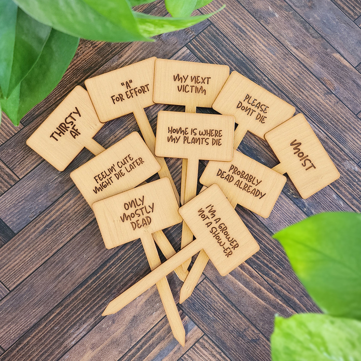 Funny House Plant Markers in Rectangle Shape