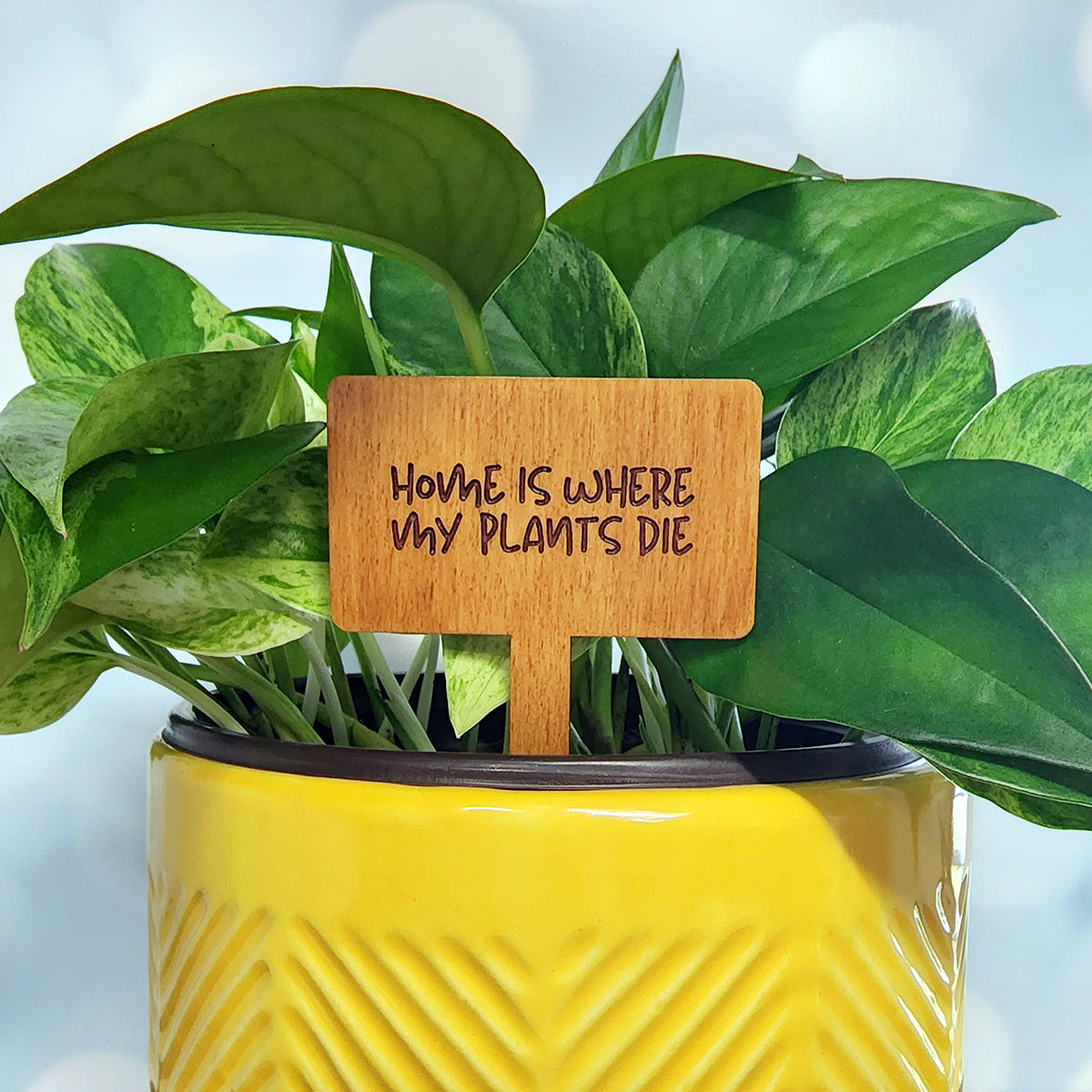 Funny House Plant Markers in Rectangle Shape