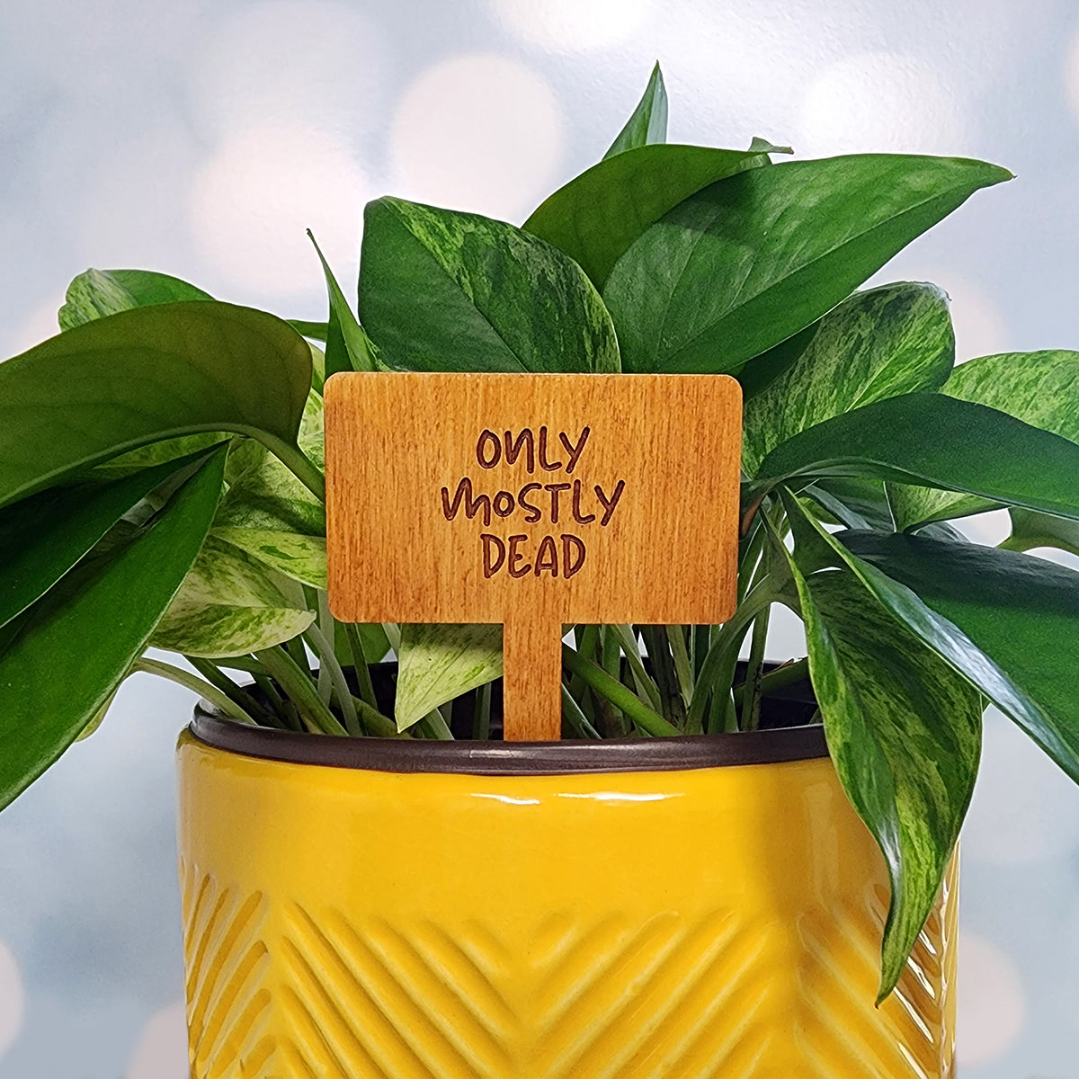 Funny House Plant Markers in Rectangle Shape