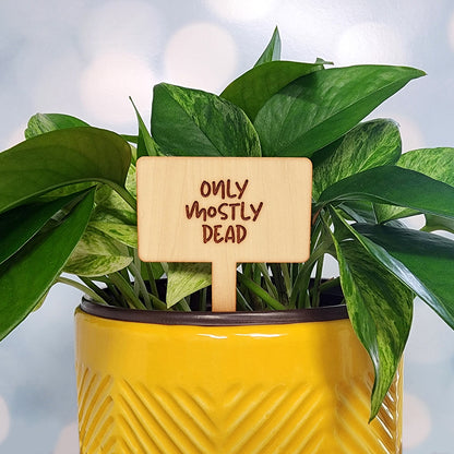 Funny House Plant Markers in Rectangle Shape