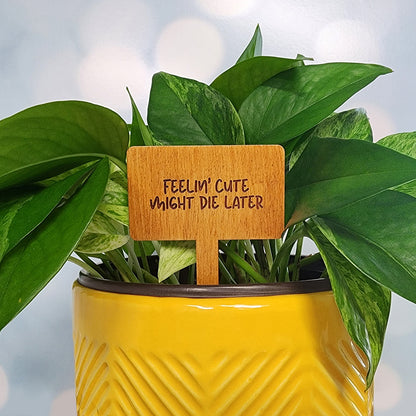 Funny House Plant Markers in Rectangle Shape