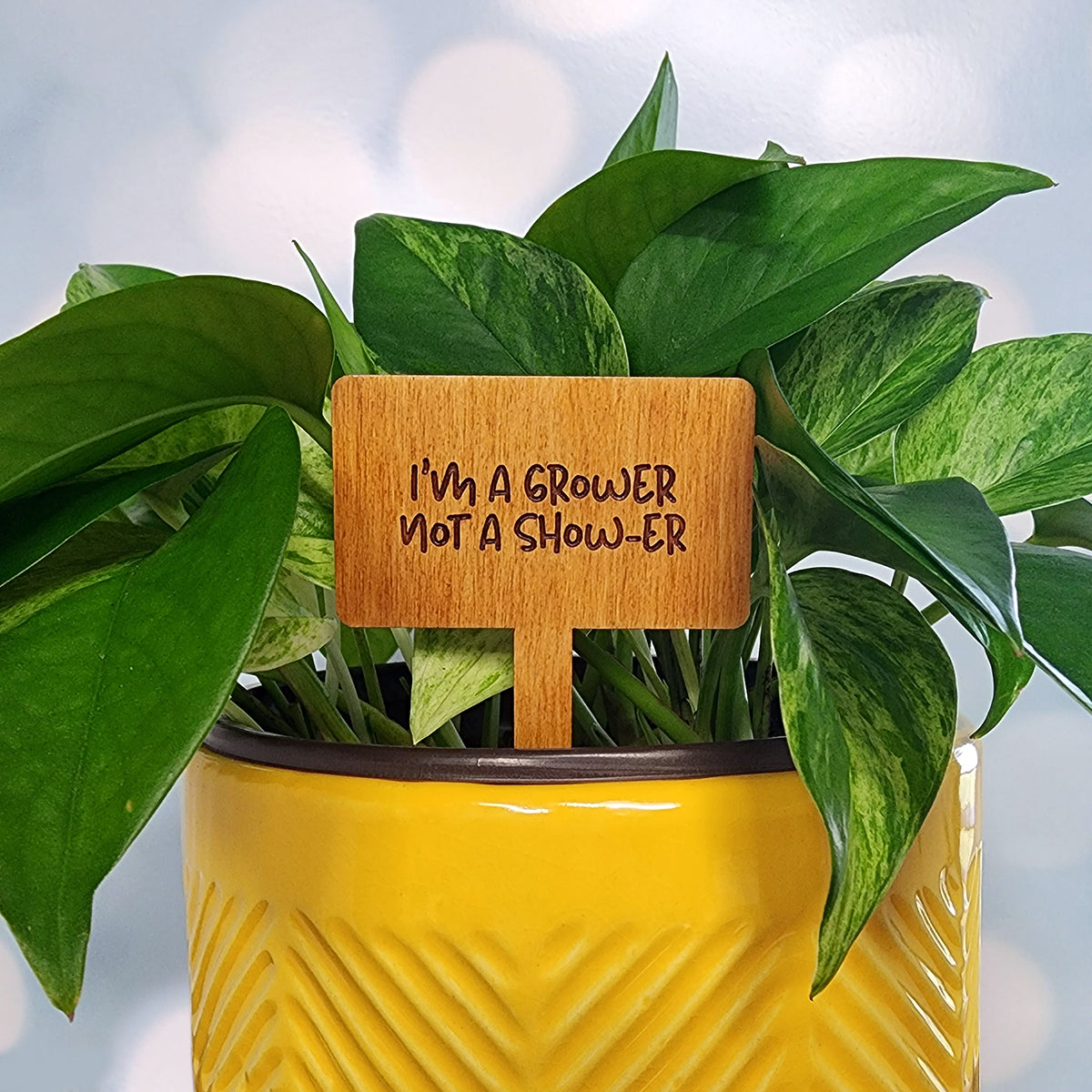 Funny House Plant Markers in Rectangle Shape