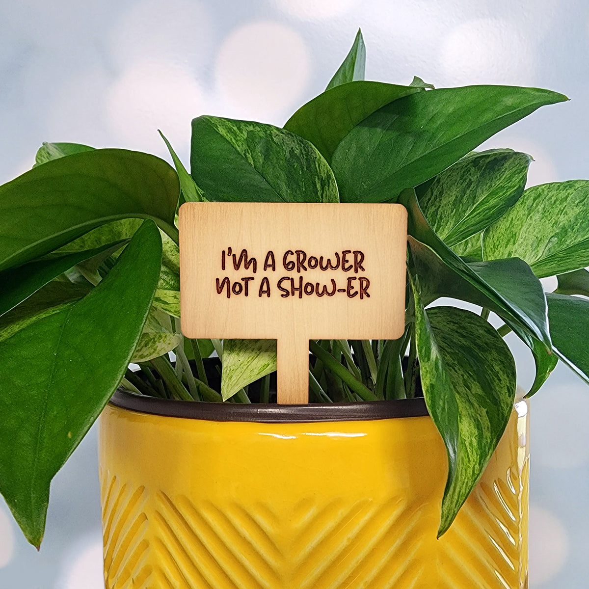 Funny House Plant Markers in Rectangle Shape