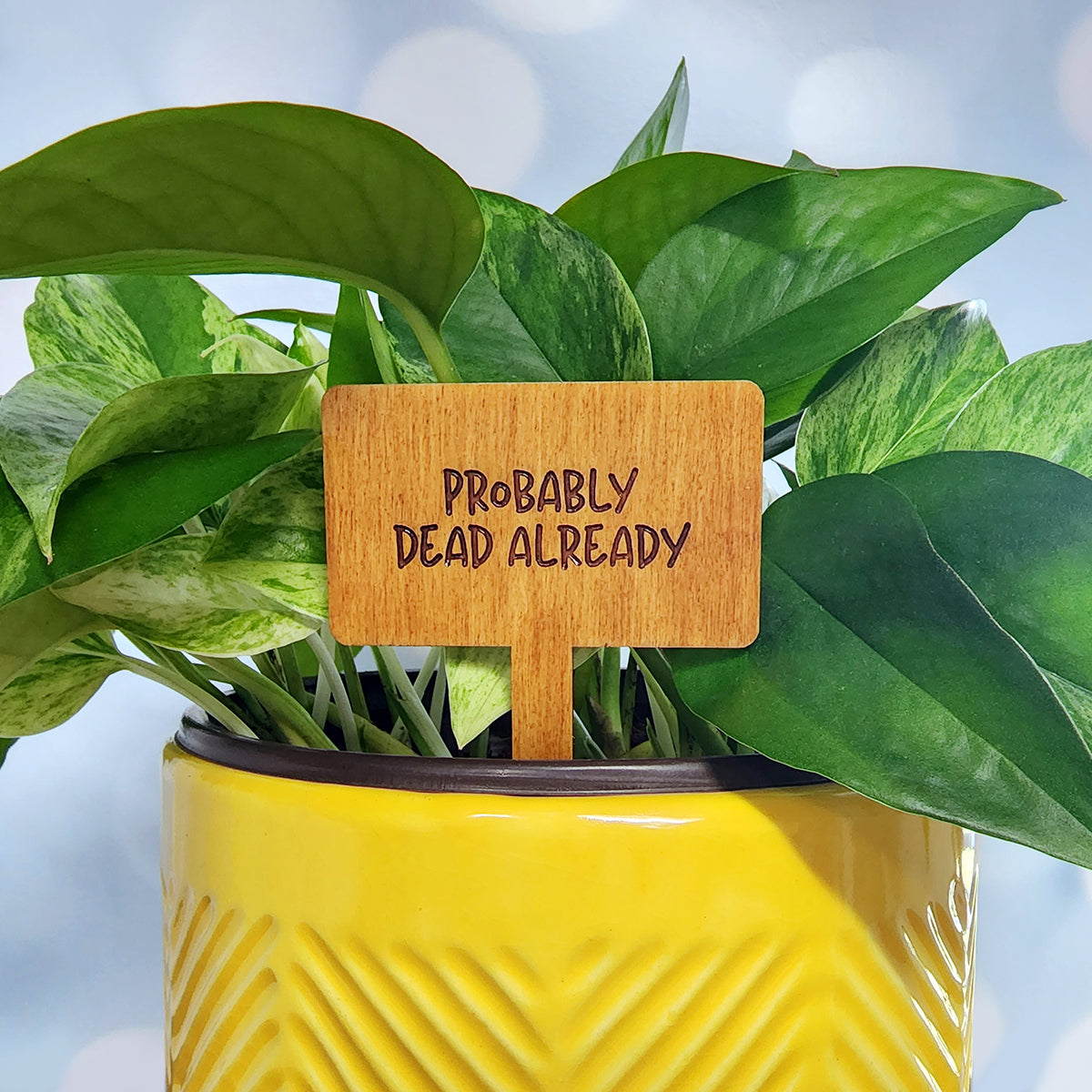 Funny House Plant Markers in Rectangle Shape