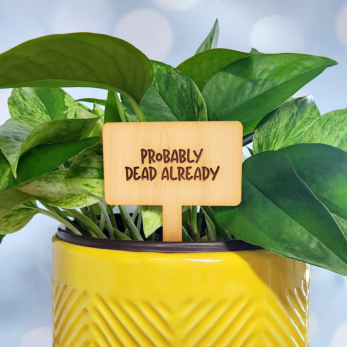 Funny House Plant Markers in Rectangle Shape