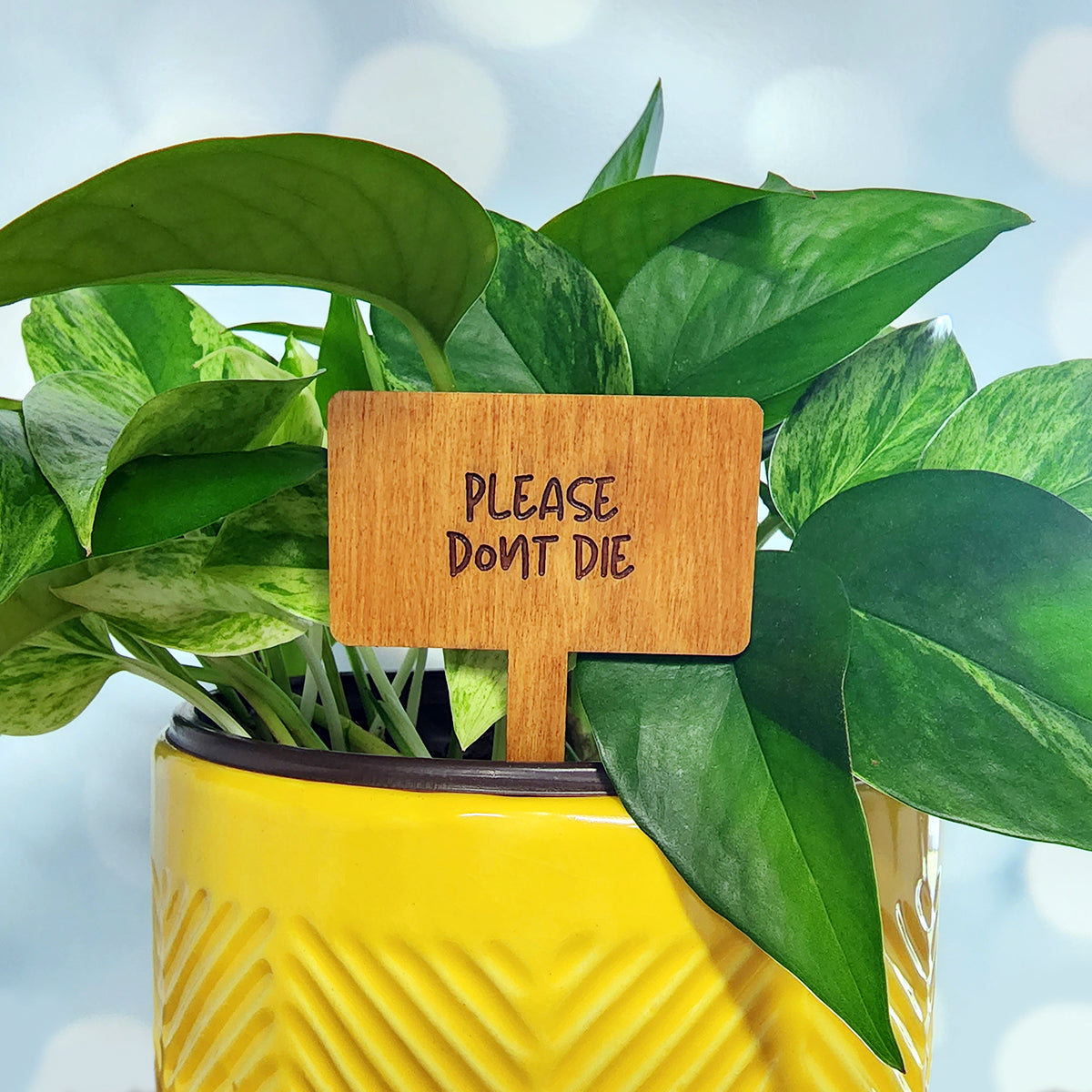 Funny House Plant Markers in Rectangle Shape