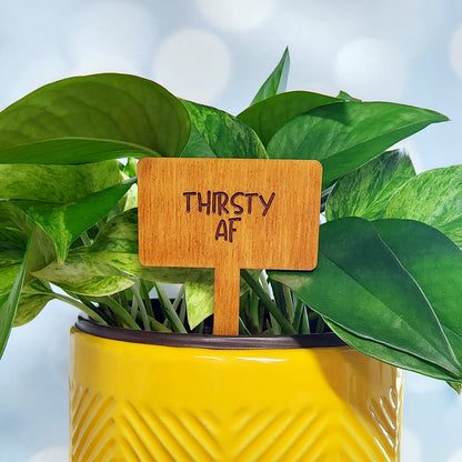 Funny House Plant Markers in Rectangle Shape