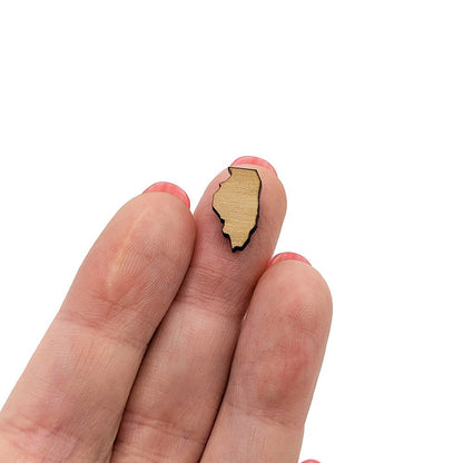 Illinois Shaped Mini Jewelry Blanks